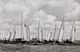 Pampus 240's Profielfoto
