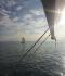 seasaw's Profielfoto