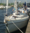 bolleboos49's Profielfoto