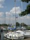 Westerly's Profielfoto