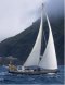 PacificBlue's Profielfoto