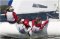 ynglingsailingteam's Profielfoto
