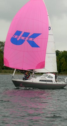 rose_spinnaker